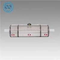 Acciaio inossidabile 316 attuatore pneumatico a tre stadi