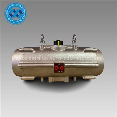 Attuatore rotativo pneumatico in acciaio inossidabile SS304