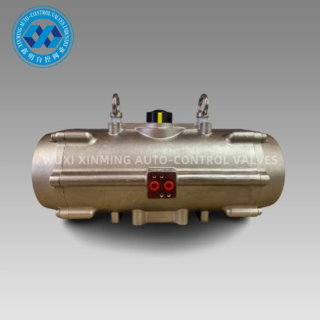 Attuatore rotativo pneumatico in acciaio inossidabile SS304