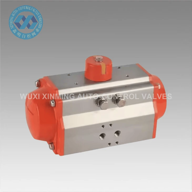 Pneumatic Rotary Actuator: 0 ~ 90 gradi Controllo di precisione