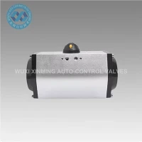 Atuatore pneumatico in argento nero