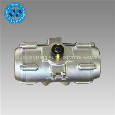 Valvole pneumatiche in acciaio inossidabile